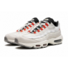 Air Max 95 SE Double Swoosh