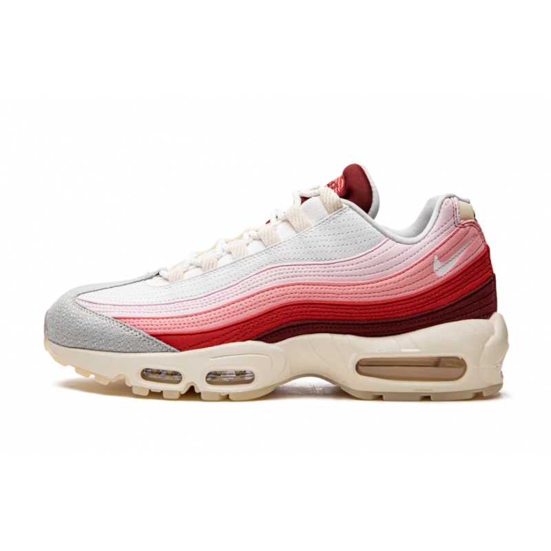 Air Max 95 QS Anatomie de l'air