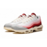 Air Max 95 QS Anatomie de l'air