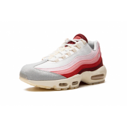 Air Max 95 QS Anatomie de l'air