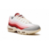 Air Max 95 QS Anatomie de l'air