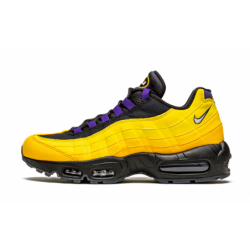 Air Max 95 NRG LeBron James...