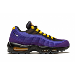 Air Max 95 NRG LeBron James des Lakers