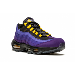 Air Max 95 NRG LeBron James des Lakers