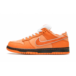 Dunk Low SB Coffret spécial...