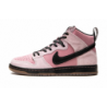 Dunk High Pro SB KCDC