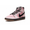 Dunk High Pro SB KCDC