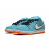 Dunk Low Pro SB Gulf