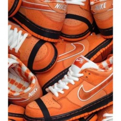 SB DUNK LOW ORANGE HOMARD