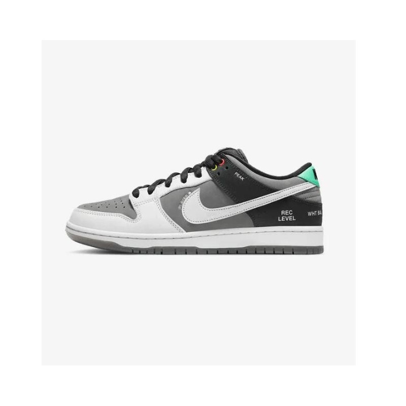 CAMÉSCOPE SB DUNK LOW VX1000