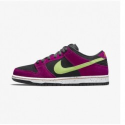 SB DUNK LOW PRO ACG TERRA...