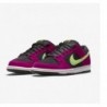 SB DUNK LOW PRO ACG TERRA ROUGE PRUNE